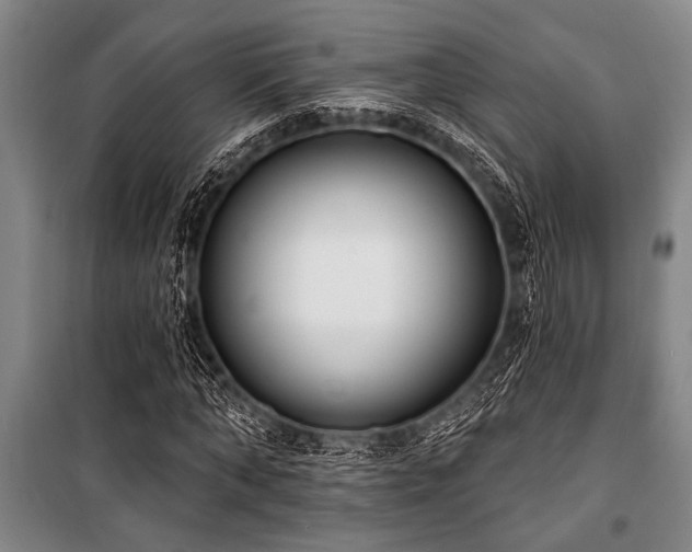 X0000101200870200806271348