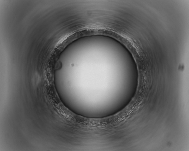X0000101200871200806271348