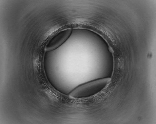 X0000101200872200806271348
