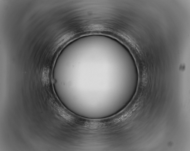 X0000101200873200806271348