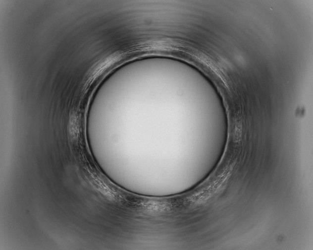 X0000101200874200806271348