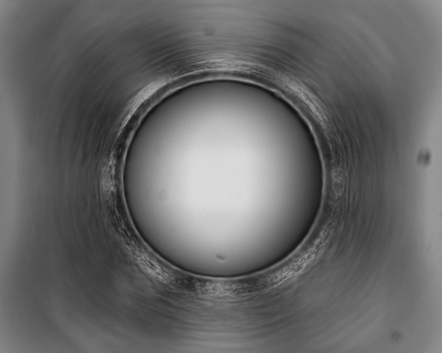 X0000101200875200806271348