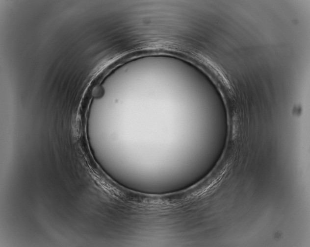 X0000101200876200806271348