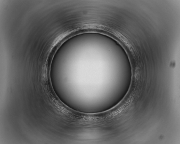 X0000101200877200806271348