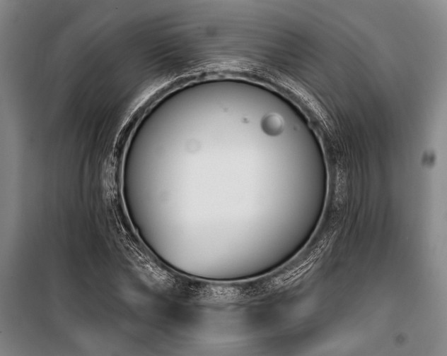 X0000101200878200806271348