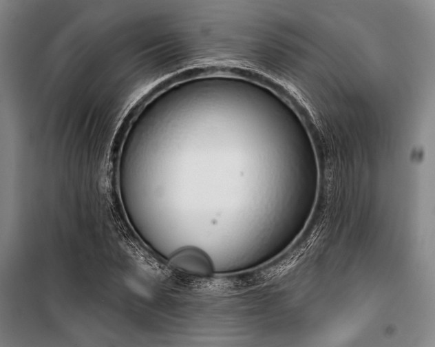 X0000101200879200806271348