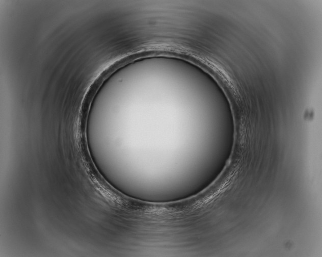 X0000101200880200806271348