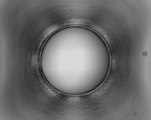 X0000101200882200806271348