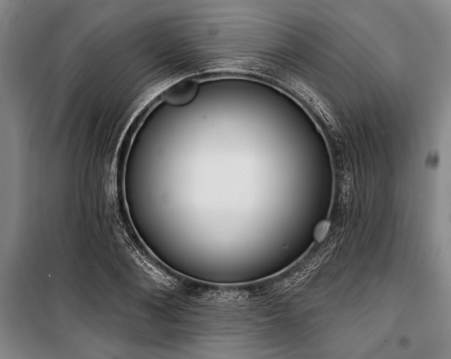 X0000101200884200806271348