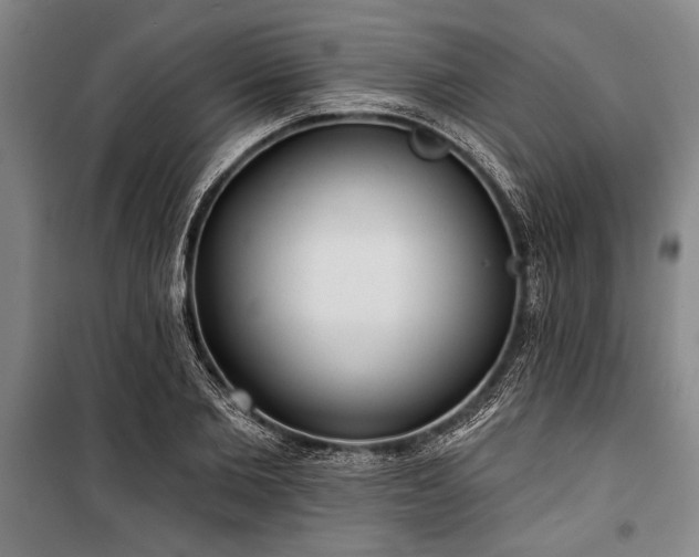 X0000101200885200806271348