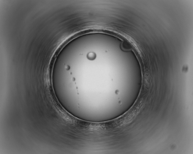 X0000101200887200806271348