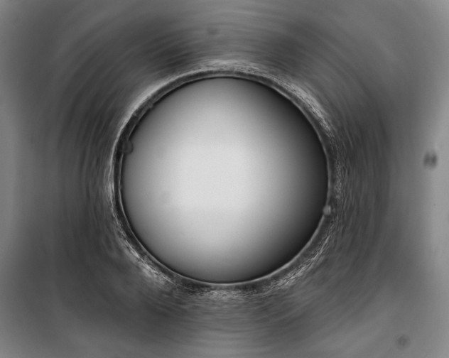 X0000101200888200806271348