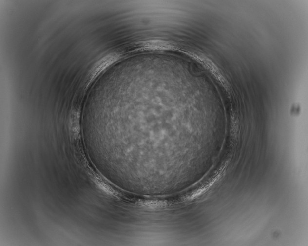 X0000101200889200806271348