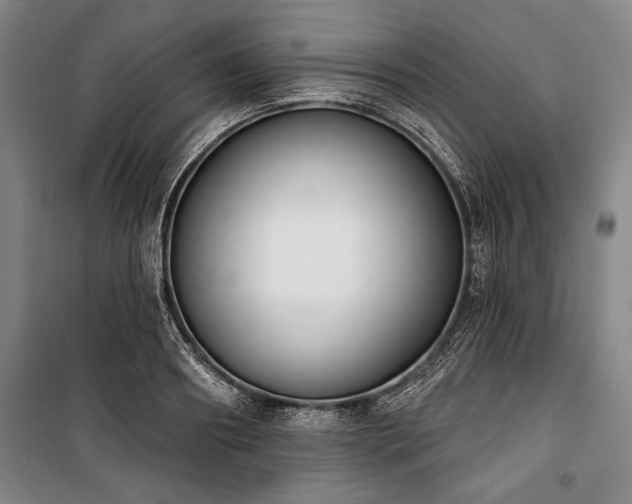 X0000101200890200806271348