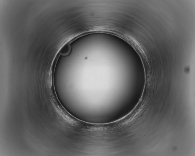 X0000101200892200806271348