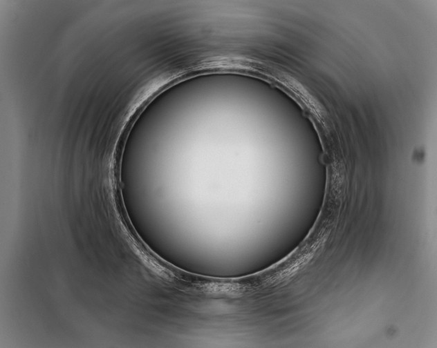 X0000101200893200806271348