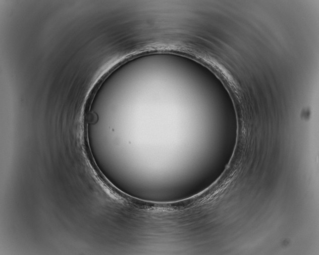 X0000101200894200806271348