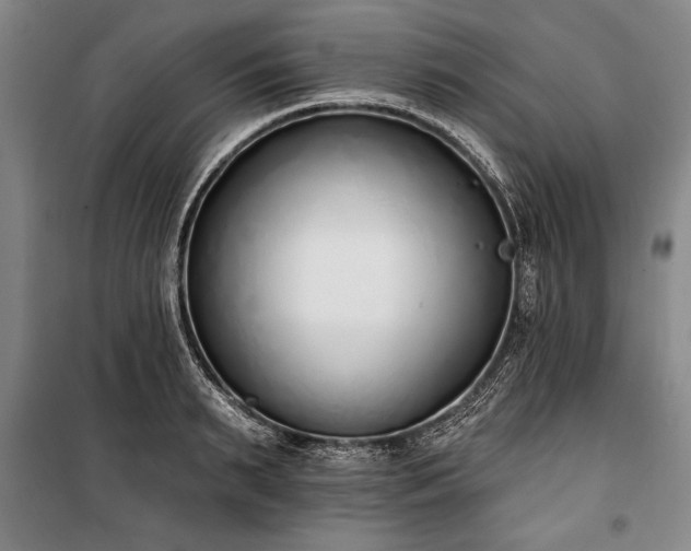 X0000101200895200806271348
