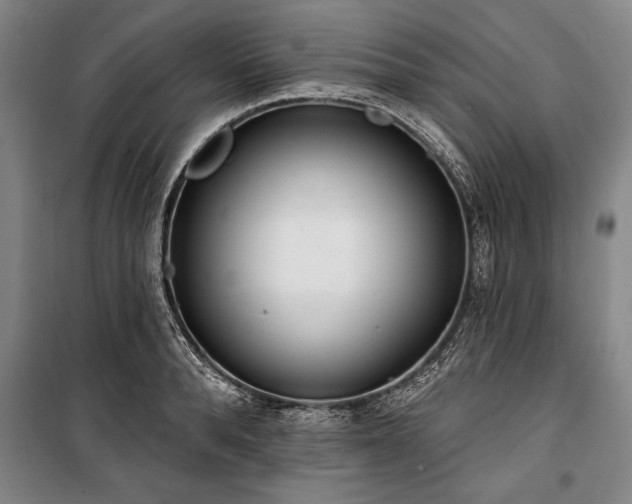 X0000101200896200806271348