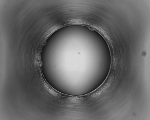 X0000101200897200806271348