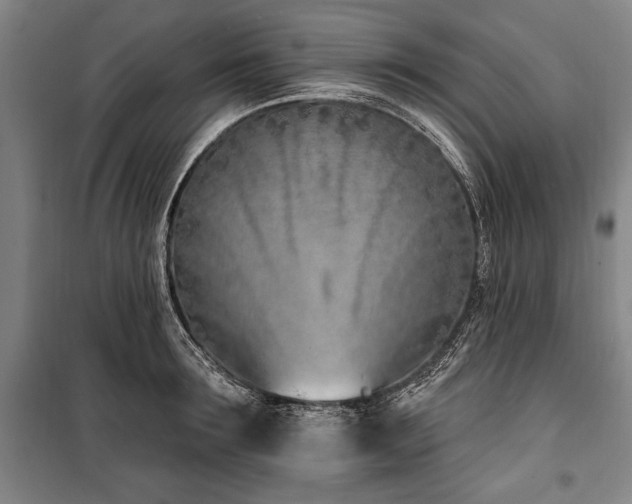 X0000101200899200806271348