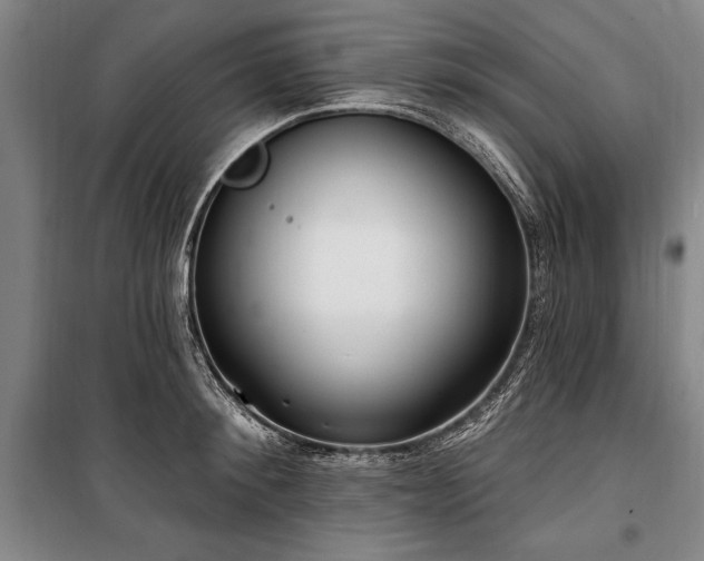 X0000101200900200806271348