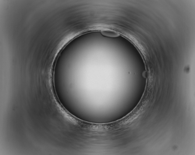X0000101200901200806271348