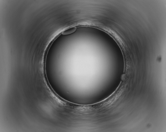 X0000101200902200806271348