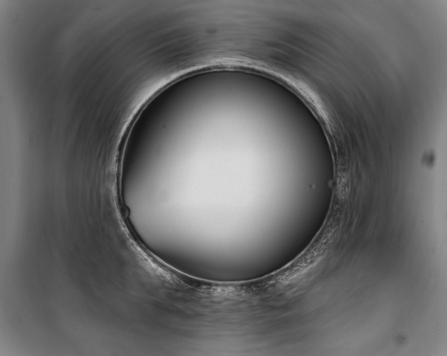 X0000101200903200806271348
