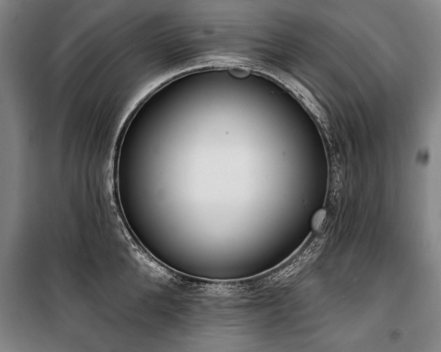 X0000101200904200806271348