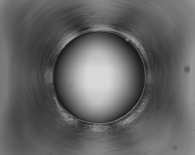 X0000101200905200806271348