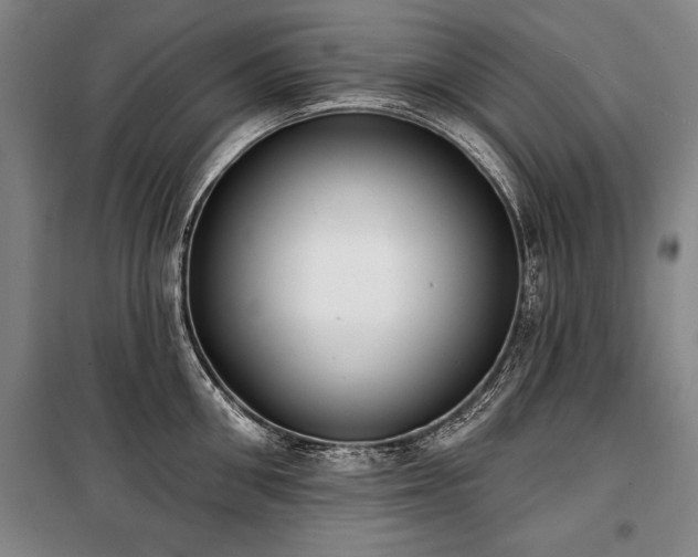 X0000101200906200806271348