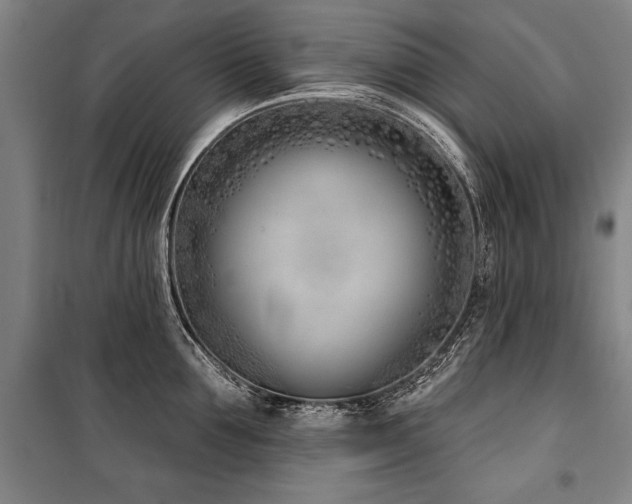 X0000101200907200806271348
