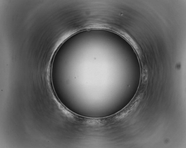 X0000101200909200806271348