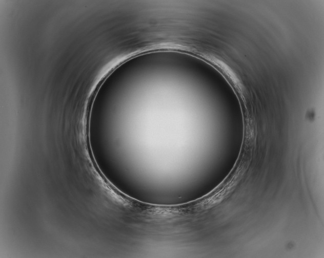 X0000101200910200806271348