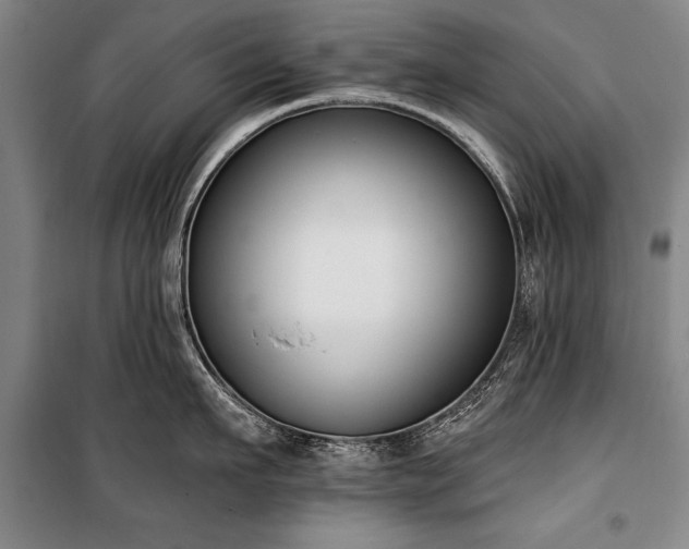 X0000101200911200806271348