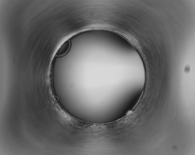 X0000101200912200806271348