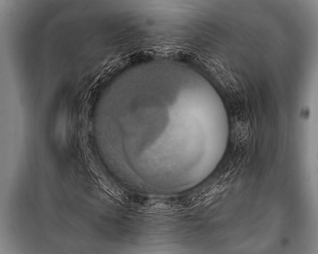 X0000101200913200806271347