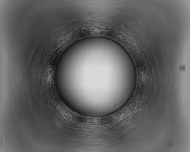 X0000101200914200806271347
