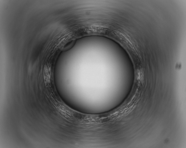 X0000101200915200806271347