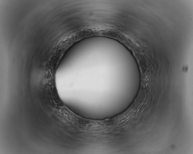 X0000101200917200806271347