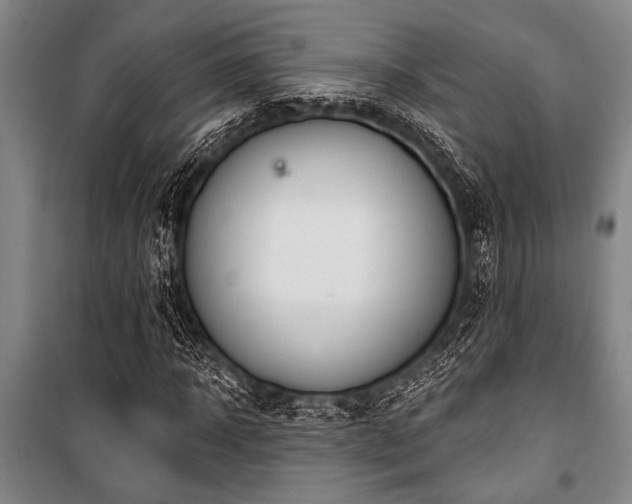 X0000101200918200806271347
