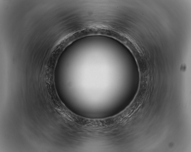X0000101200919200806271347