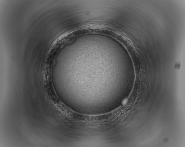 X0000101200920200806271347
