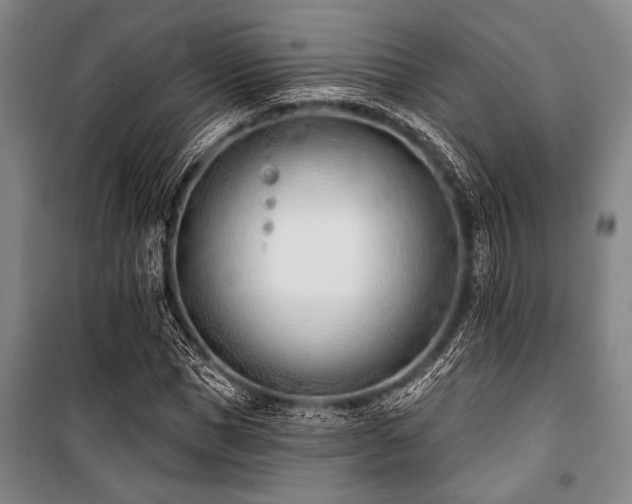 X0000101200921200806271347