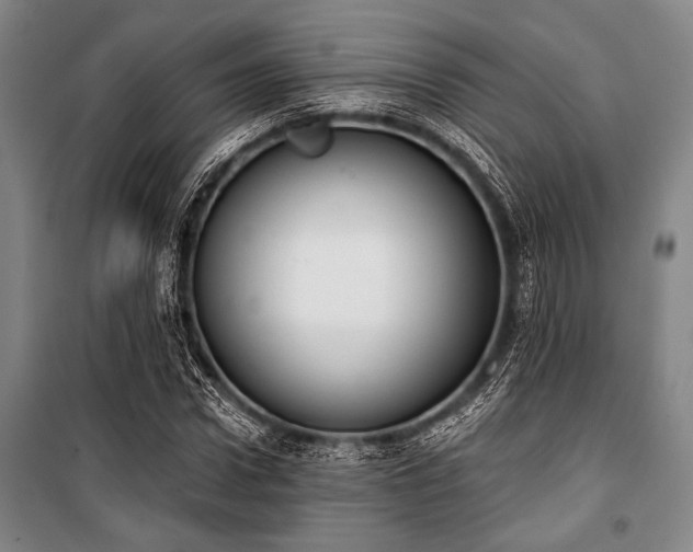 X0000101200922200806271347