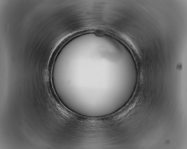 X0000101200924200806271347