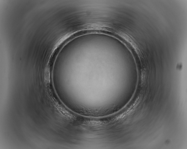 X0000101200925200806271347