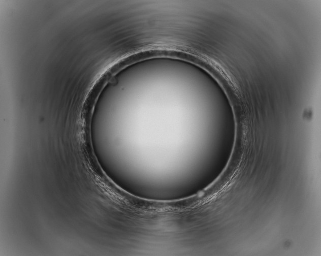 X0000101200926200806271347