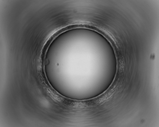 X0000101200927200806271347
